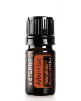Arborvitae – Thuja plicata – Arborvitae