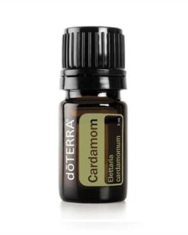 Cardamom – Elettaria cardamomum – Cardamom