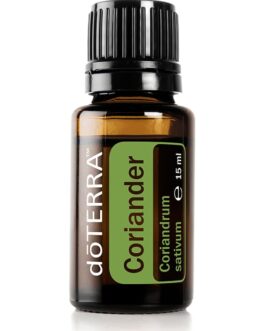 Coriander – Coriandrum sativum – Coriander