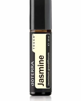 Jasmine Touch® – Jasminum grandiflorum – Jasmin