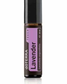 Lavender Touch® – Lavandula angustifolia – Lavender