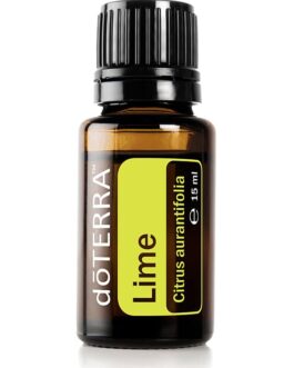 Lime – Citrus aurantifolia – Lime