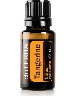 Mandarin – Citrus reticulata – Tangerine